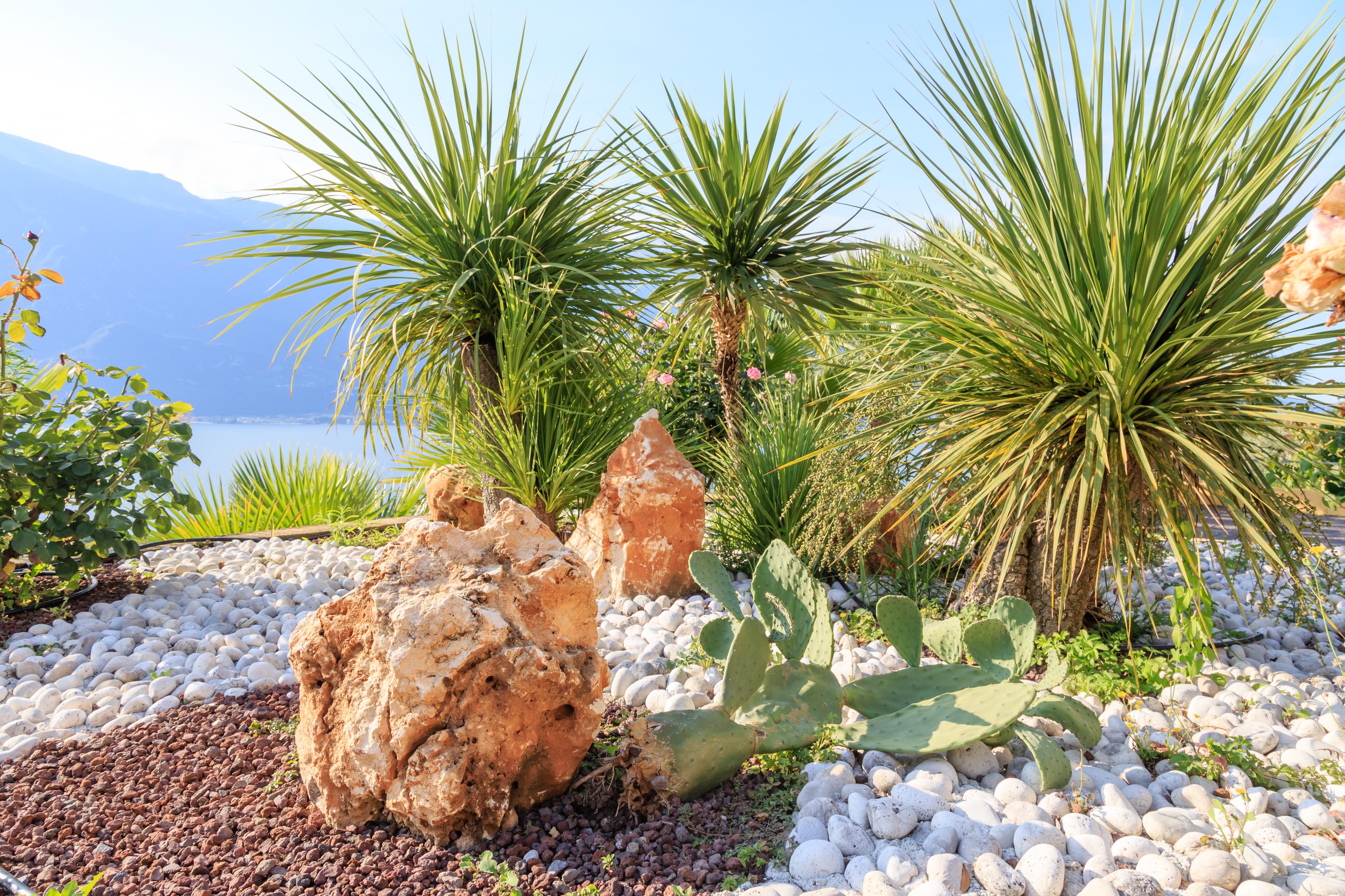 Hotel Cristina Limone sul Garda Esterno foto